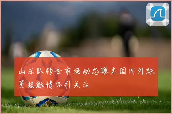 山东队转会市场动态曝光国内外球员接触情况引关注