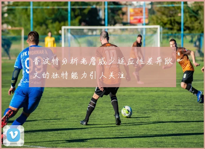 香波特分析老詹威少适应性差异欧文的独特能力引人关注