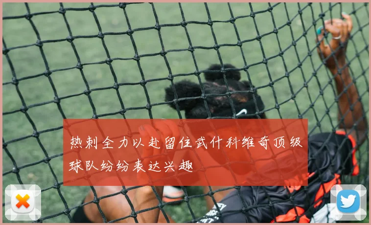 热刺全力以赴留住武什科维奇顶级球队纷纷表达兴趣